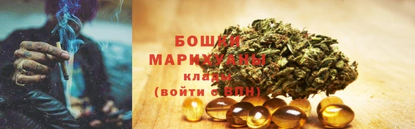 PSILOCYBIN Елизово