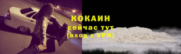 PSILOCYBIN Елизово