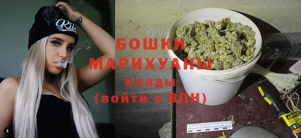 дмт Дмитров