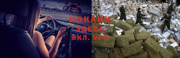 твердый Михайловск